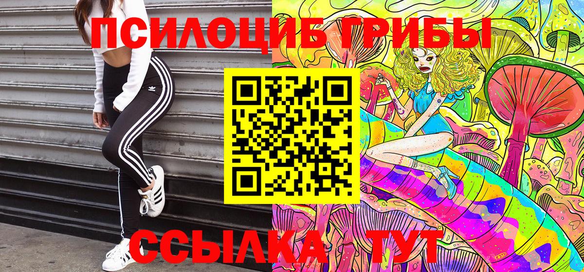 Галлюциногенные грибы Psilocybe  Псилоцибиновые грибы прущие грибы  Вход с VPN  Чистополь 